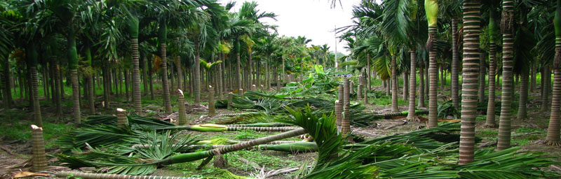 bb电子仪器广泛应用于环境分析领域